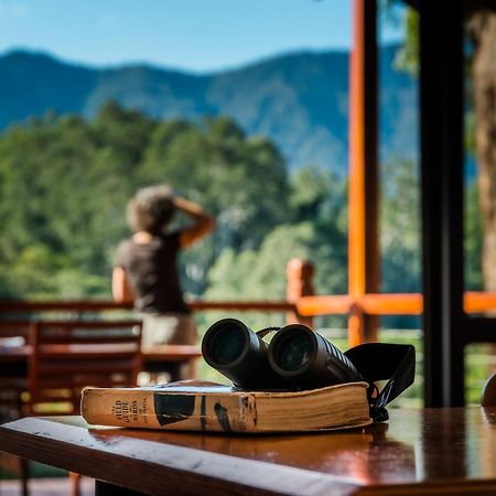 Promised Land Retreat Bellingen Quarto foto